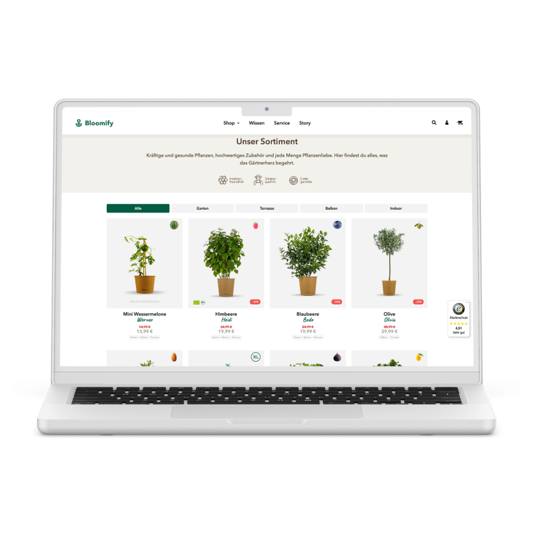 Onlineshop von Bloomify auf einem Laptop